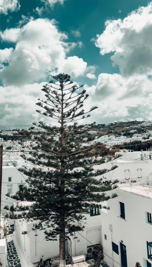 Alana Mykonos Hotel Mykonos Town ภายนอก รูปภาพ